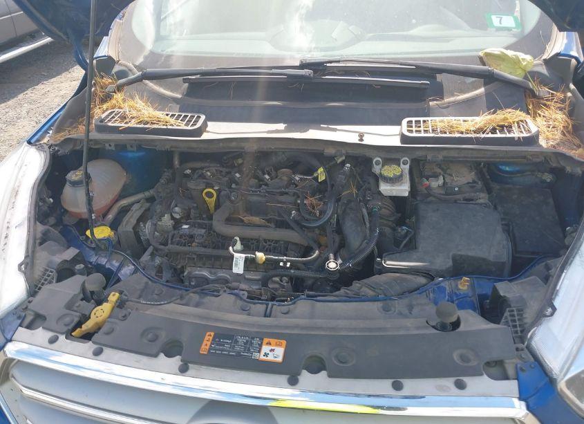 Photo 10 of 2019 Ford Escape SE (VIN 1FMCU0GD7KUC37019)