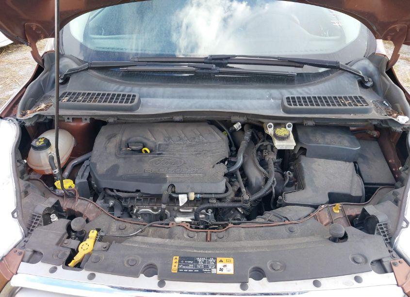 Photo 10 of 2017 Ford Escape SE (VIN 1FMCU0GD8HUB19733)