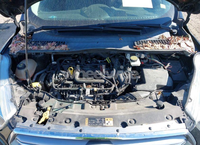 Photo 10 of 2017 Ford Escape SE (VIN 1FMCU0GD8HUB99096)