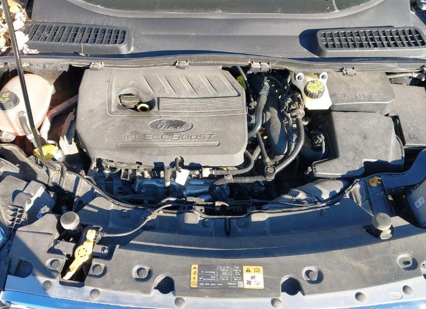 Photo 10 of 2017 Ford Escape SE (VIN 1FMCU0GD8HUE66897)