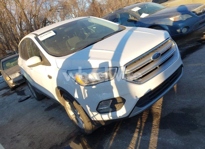 2019 Ford Escape SE (VIN 1FMCU0GD8KUA34995) main photo
