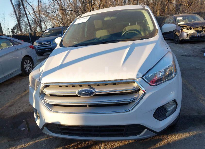 Photo 12 of 2019 Ford Escape SE (VIN 1FMCU0GD8KUA34995)