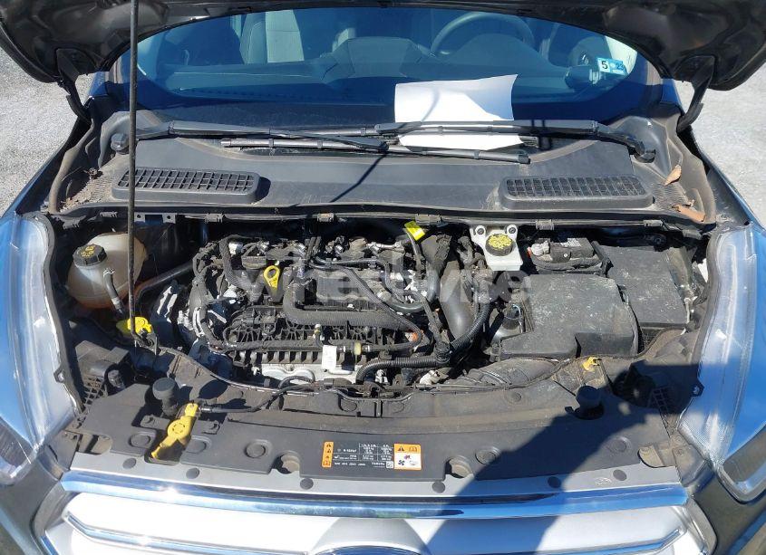 Photo 10 of 2019 Ford Escape SE (VIN 1FMCU0GD8KUA50680)