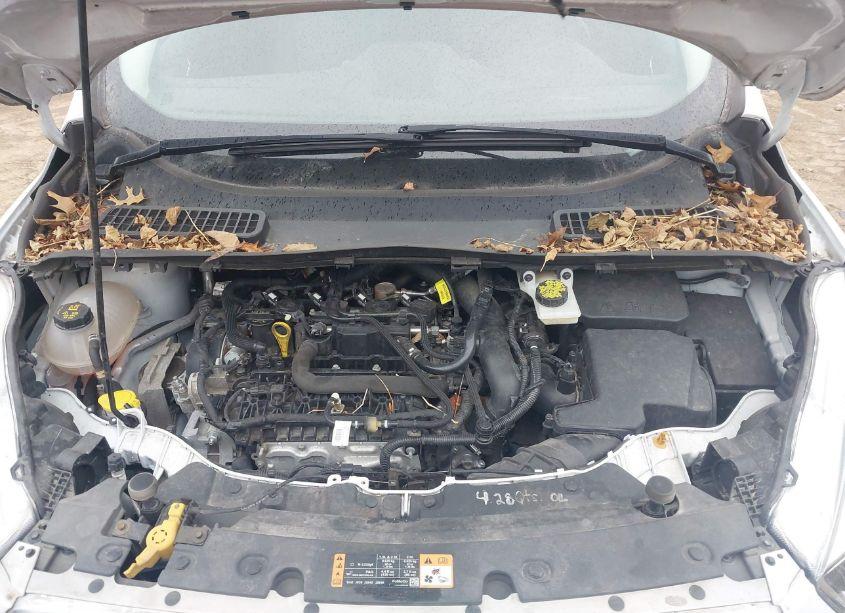 Photo 10 of 2019 Ford Escape SE (VIN 1FMCU0GD8KUA69472)