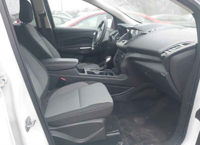 Photo 5 of 2019 Ford Escape SE (VIN 1FMCU0GD8KUA69472)