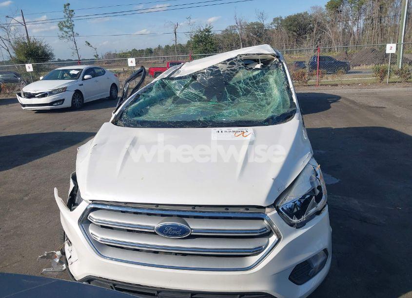 Photo 12 of 2019 Ford Escape SE (VIN 1FMCU0GD8KUA75238)