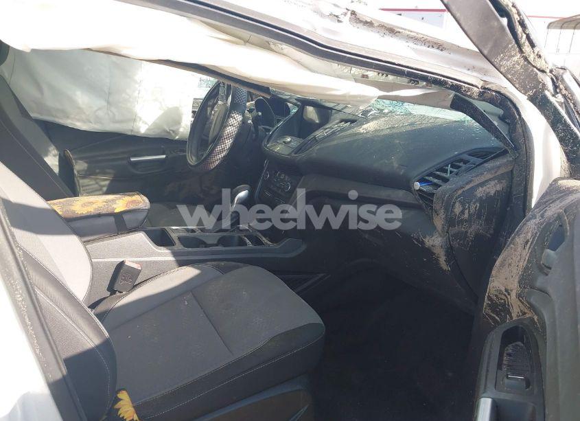 Photo 5 of 2019 Ford Escape SE (VIN 1FMCU0GD8KUA75238)