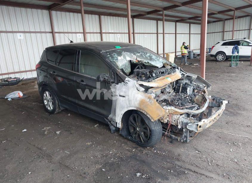 2019 Ford Escape SE (VIN 1FMCU0GD8KUB01370) main photo