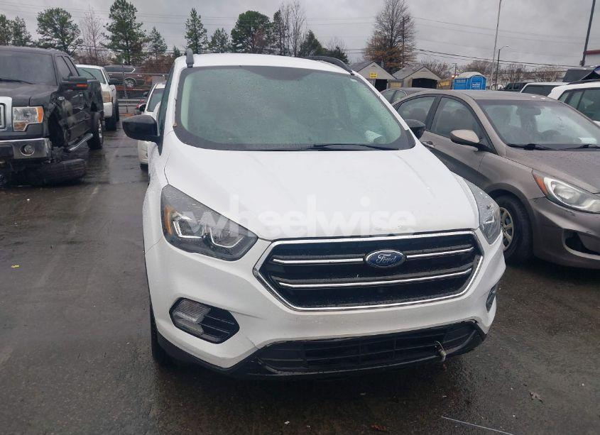 Photo 12 of 2019 Ford Escape SE (VIN 1FMCU0GD8KUC19256)