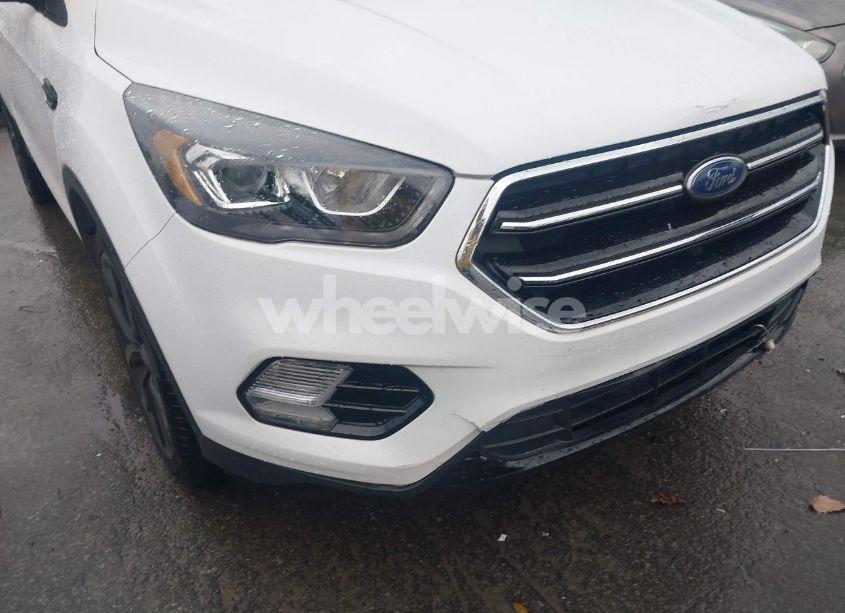Photo 17 of 2019 Ford Escape SE (VIN 1FMCU0GD8KUC19256)