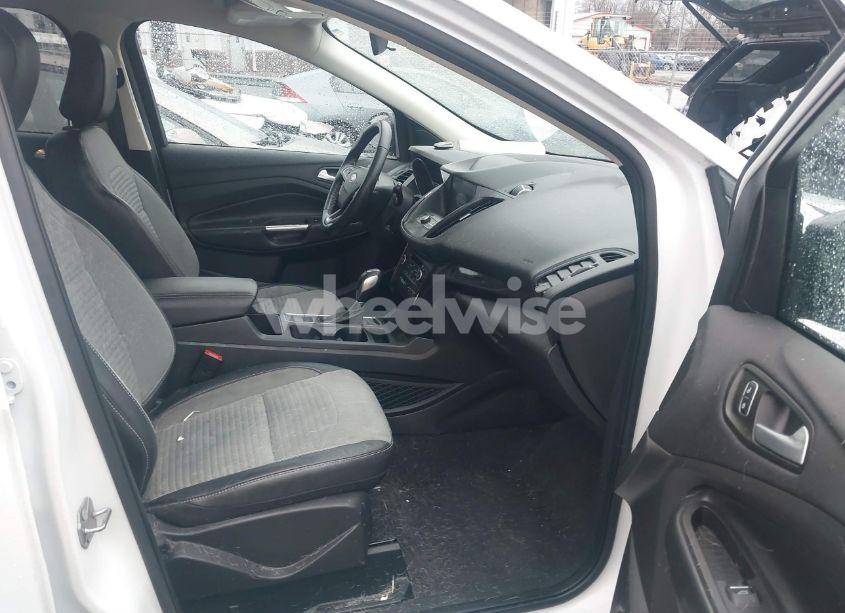 Photo 5 of 2019 Ford Escape SE (VIN 1FMCU0GD8KUC19256)