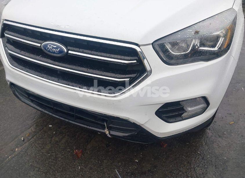 Photo 6 of 2019 Ford Escape SE (VIN 1FMCU0GD8KUC19256)