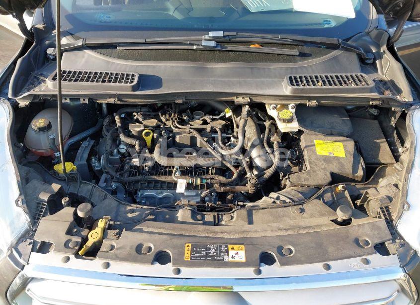 Photo 10 of 2019 Ford Escape SE (VIN 1FMCU0GD8KUC46361)