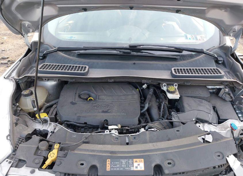 Photo 10 of 2017 Ford Escape SE (VIN 1FMCU0GD9HUC58883)