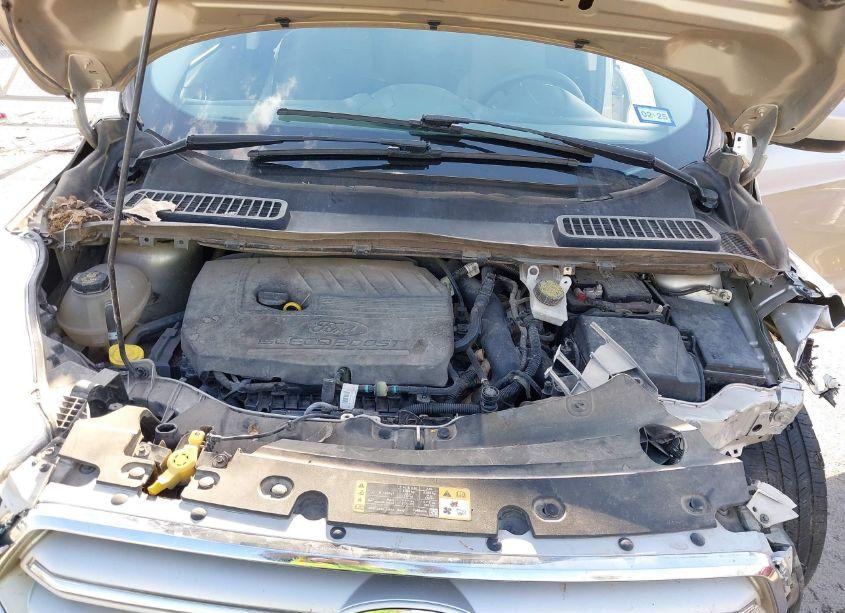 Photo 10 of 2018 Ford Escape SE (VIN 1FMCU0GD9JUA63761)