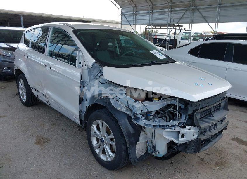 2019 Ford Escape SE (VIN 1FMCU0GD9KUB00180) main photo