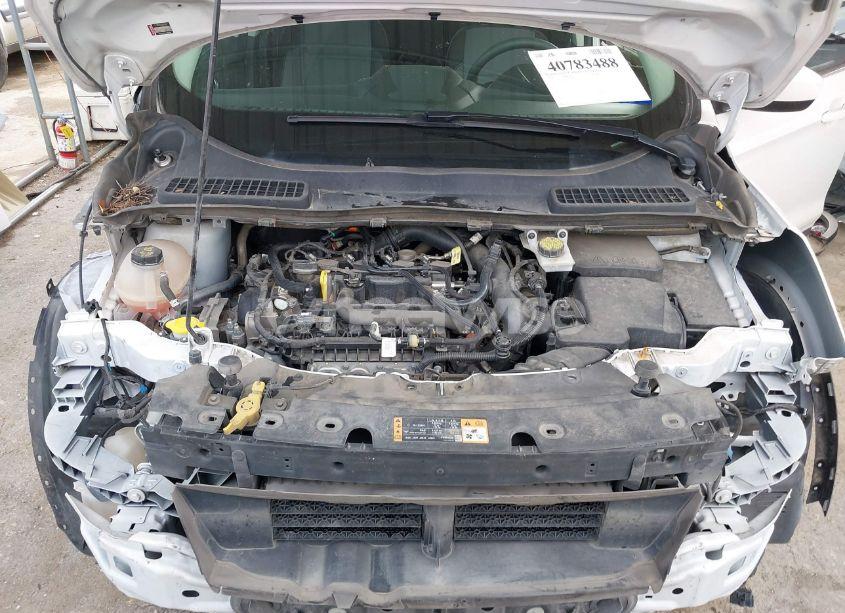 Photo 10 of 2019 Ford Escape SE (VIN 1FMCU0GD9KUB00180)