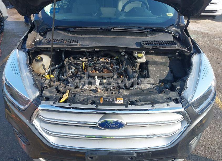 Photo 10 of 2019 Ford Escape SE (VIN 1FMCU0GD9KUB58550)