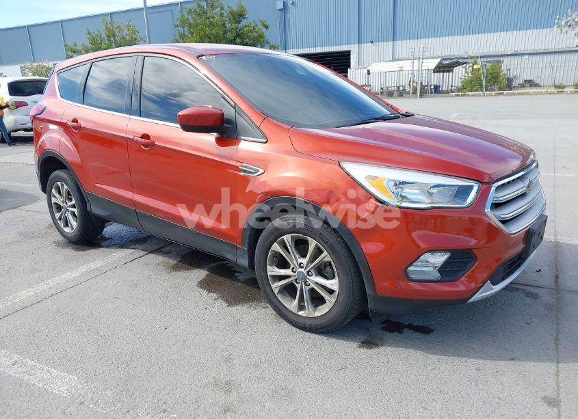2019 Ford Escape SE (VIN 1FMCU0GD9KUB82007) main photo