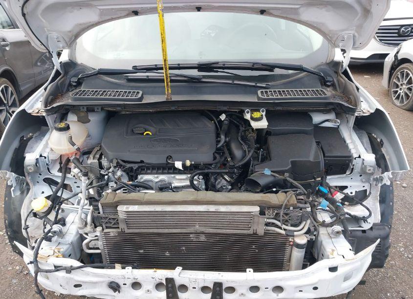 Photo 10 of 2018 Ford Escape SE (VIN 1FMCU0GDXJUC50412)