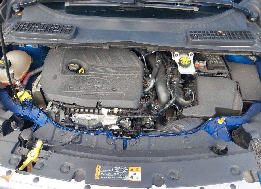 Photo 10 of 2018 Ford Escape SE (VIN 1FMCU0GDXJUD60991)