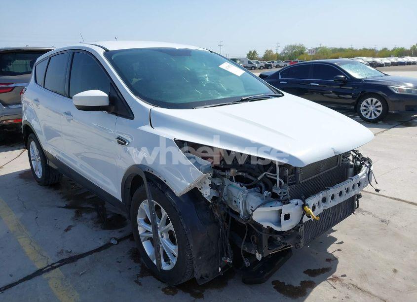 2019 Ford Escape SE (VIN 1FMCU0GDXKUA53726) main photo