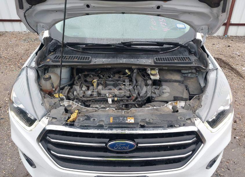 Photo 10 of 2019 Ford Escape SE (VIN 1FMCU0GDXKUC06346)