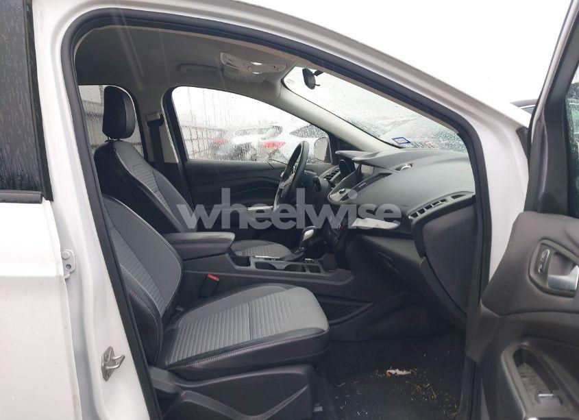 Photo 5 of 2019 Ford Escape SE (VIN 1FMCU0GDXKUC06346)