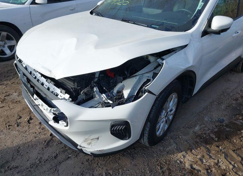 Photo 6 of 2023 Ford Escape ACTIVE (VIN 1FMCU0GN7PUB04020)