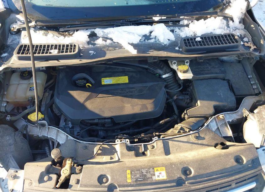 Photo 10 of 2013 Ford Escape SE (VIN 1FMCU0GX0DUA57913)