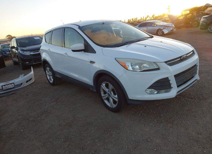 2013 Ford Escape SE (VIN 1FMCU0GX0DUA80673) main photo