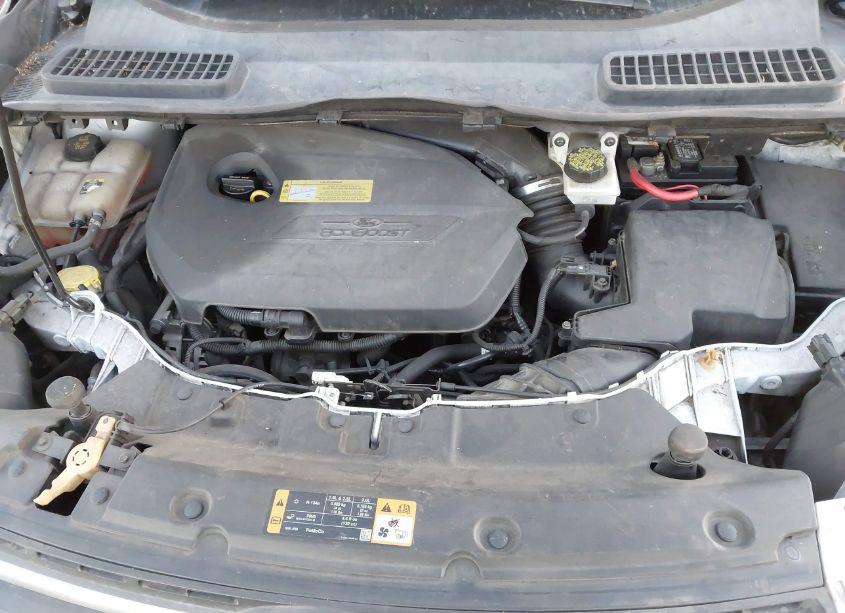 Photo 10 of 2013 Ford Escape SE (VIN 1FMCU0GX0DUA80673)