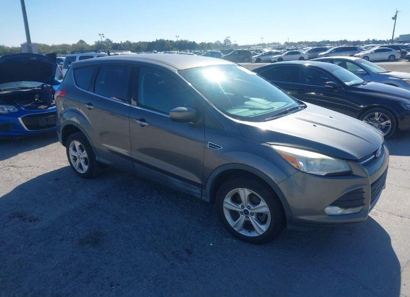 2013 Ford Escape SE (VIN 1FMCU0GX0DUD64630) main photo