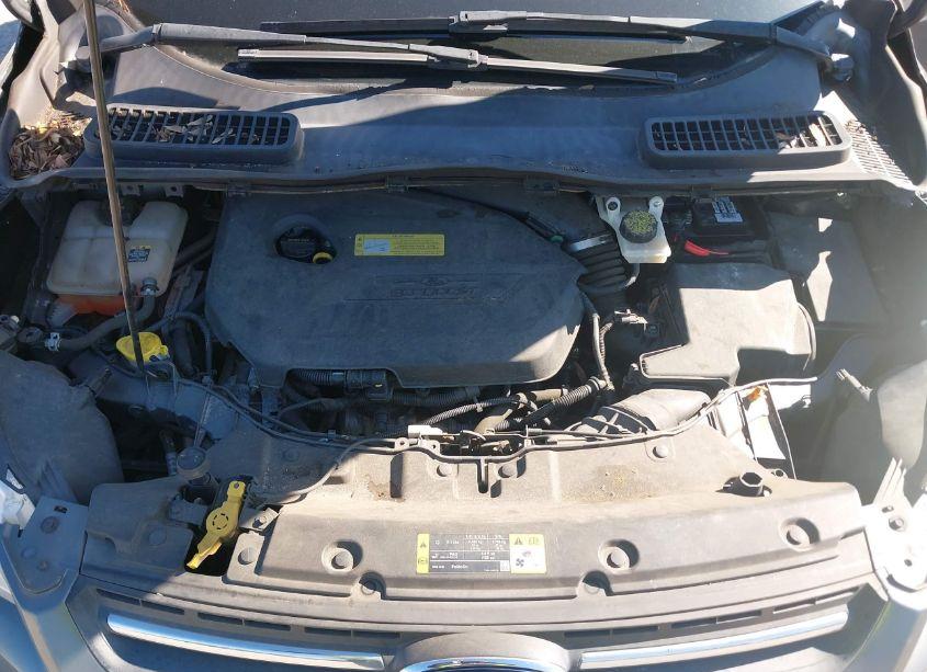 Photo 10 of 2013 Ford Escape SE (VIN 1FMCU0GX0DUD64630)