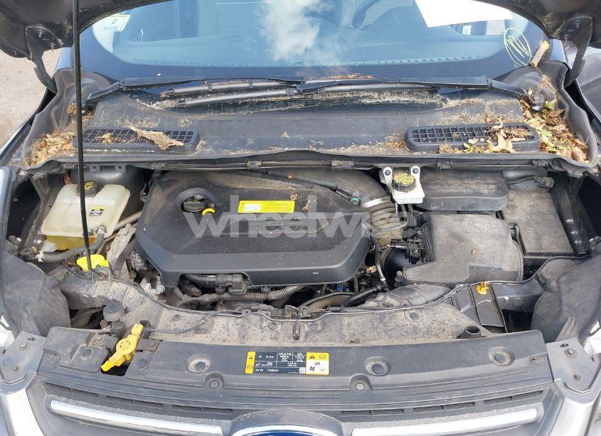 Photo 10 of 2013 Ford Escape SE (VIN 1FMCU0GX0DUD90385)