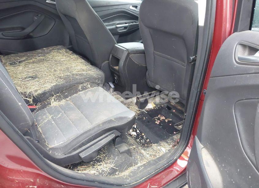 Photo 8 of 2014 Ford Escape SE (VIN 1FMCU0GX0EUA02086)