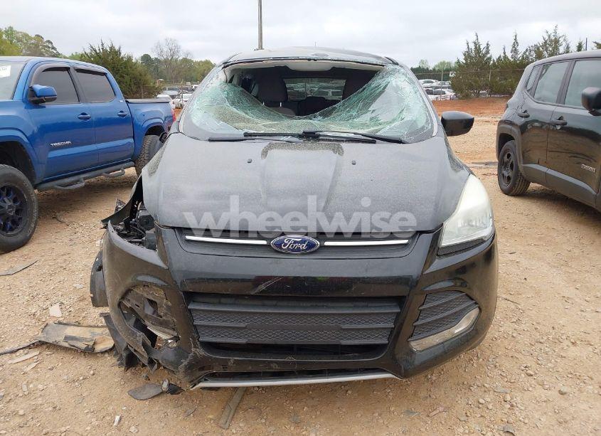 Photo 12 of 2014 Ford Escape SE (VIN 1FMCU0GX0EUA19275)