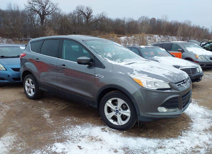 2014 Ford Escape SE (VIN 1FMCU0GX0EUA35928) main photo