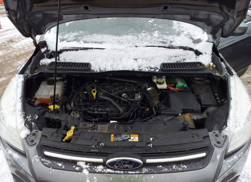 Photo 10 of 2014 Ford Escape SE (VIN 1FMCU0GX0EUA35928)