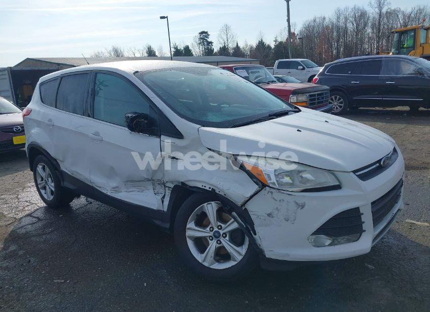 2014 Ford Escape SE (VIN 1FMCU0GX0EUA43432) main photo