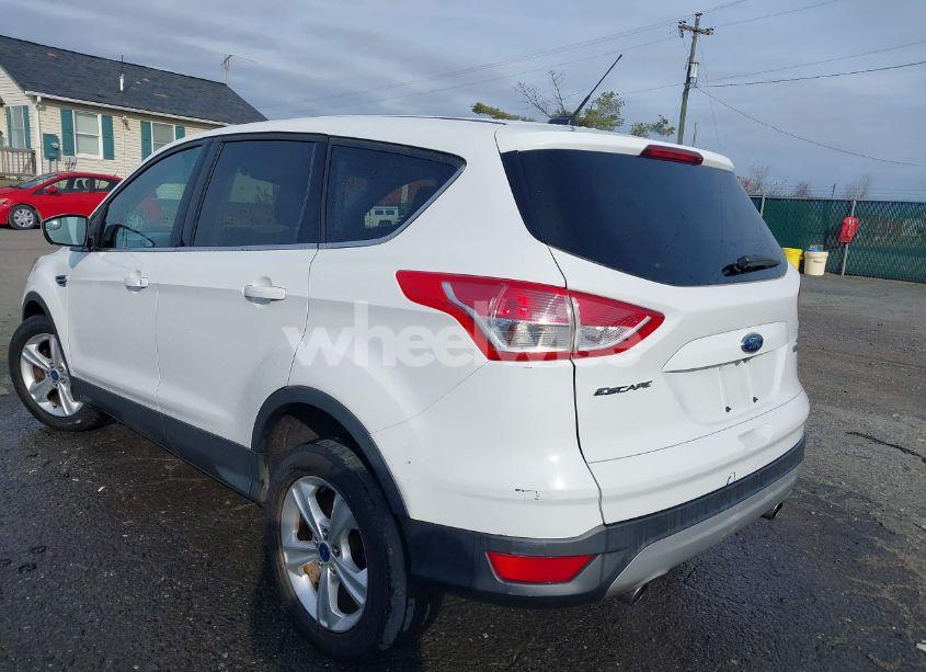 Photo 3 of 2014 Ford Escape SE (VIN 1FMCU0GX0EUA43432)