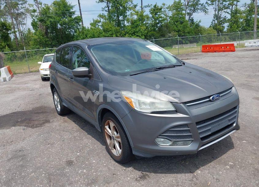 2014 Ford Escape SE (VIN 1FMCU0GX0EUA47187) main photo