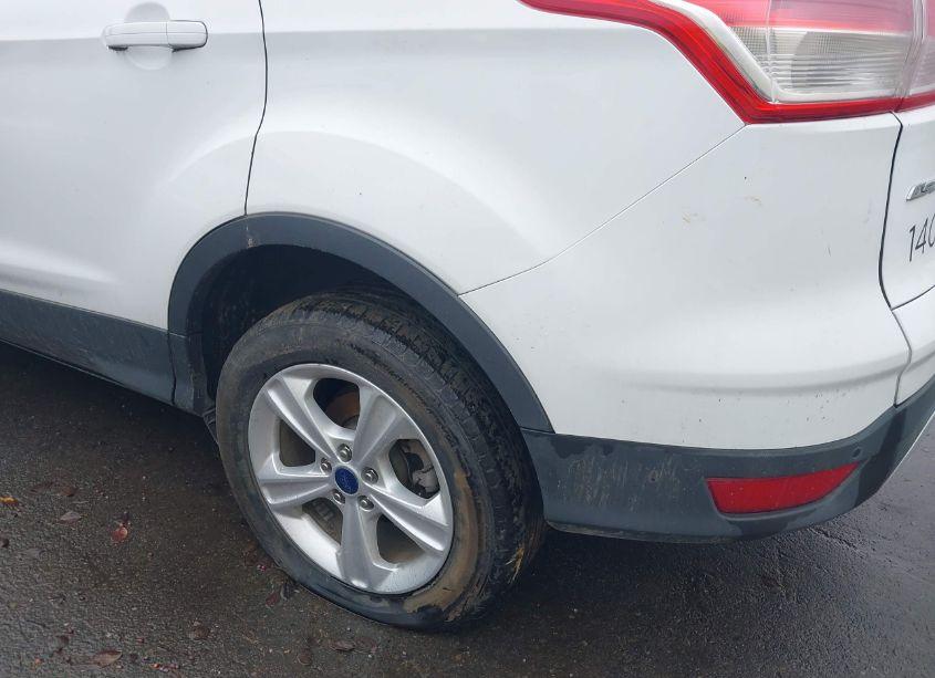 Photo 13 of 2014 Ford Escape SE (VIN 1FMCU0GX0EUA54267)