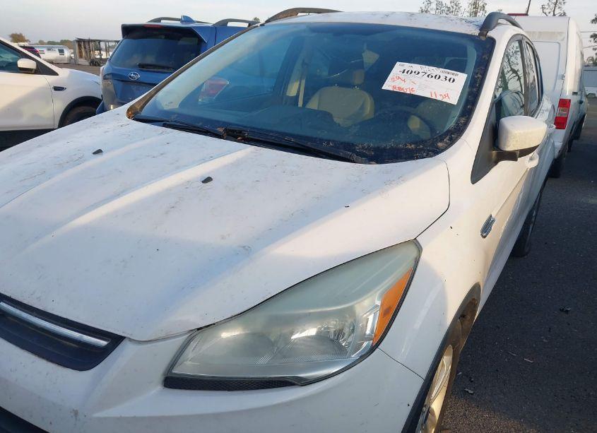 Photo 6 of 2014 Ford Escape SE (VIN 1FMCU0GX0EUA54267)