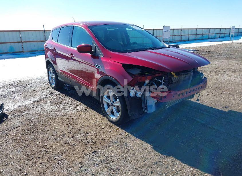 2014 Ford Escape SE (VIN 1FMCU0GX0EUA62000) main photo