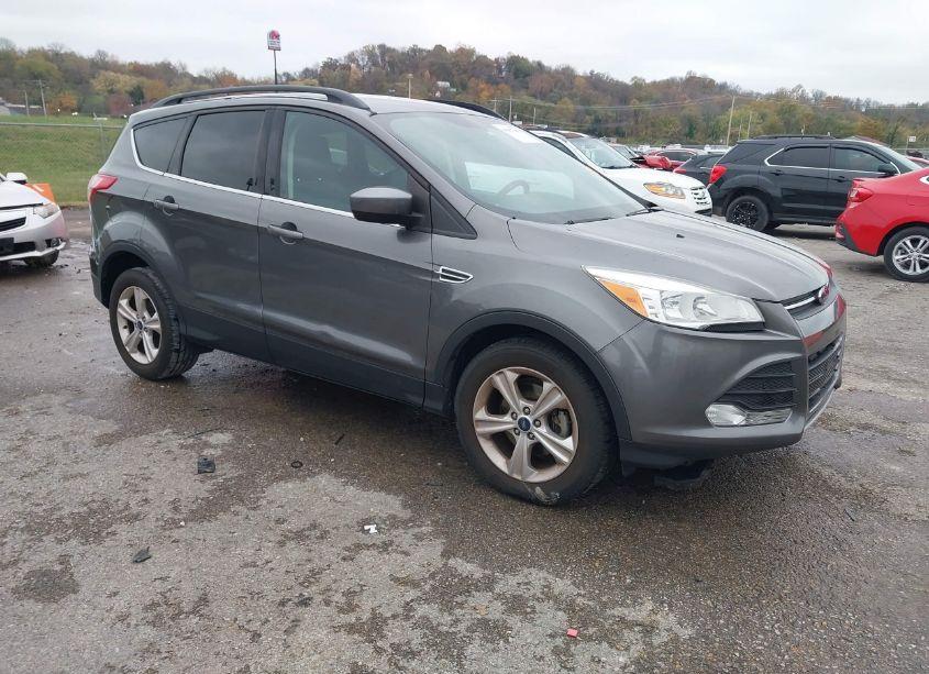 2014 Ford Escape SE (VIN 1FMCU0GX0EUB42798) main photo