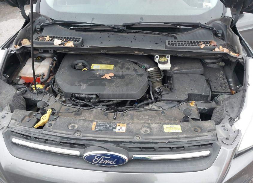 Photo 10 of 2014 Ford Escape SE (VIN 1FMCU0GX0EUB42798)