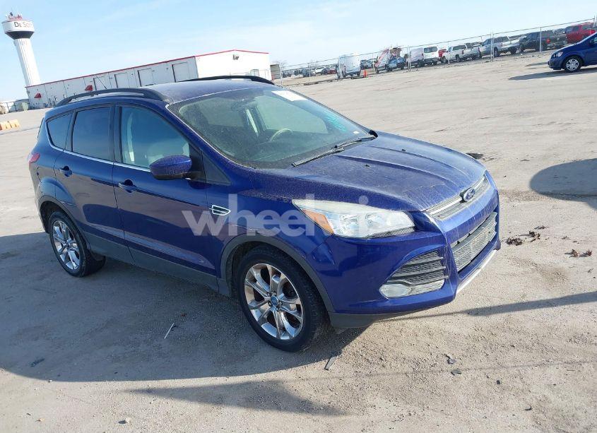 2014 Ford Escape SE (VIN 1FMCU0GX0EUB45748) main photo