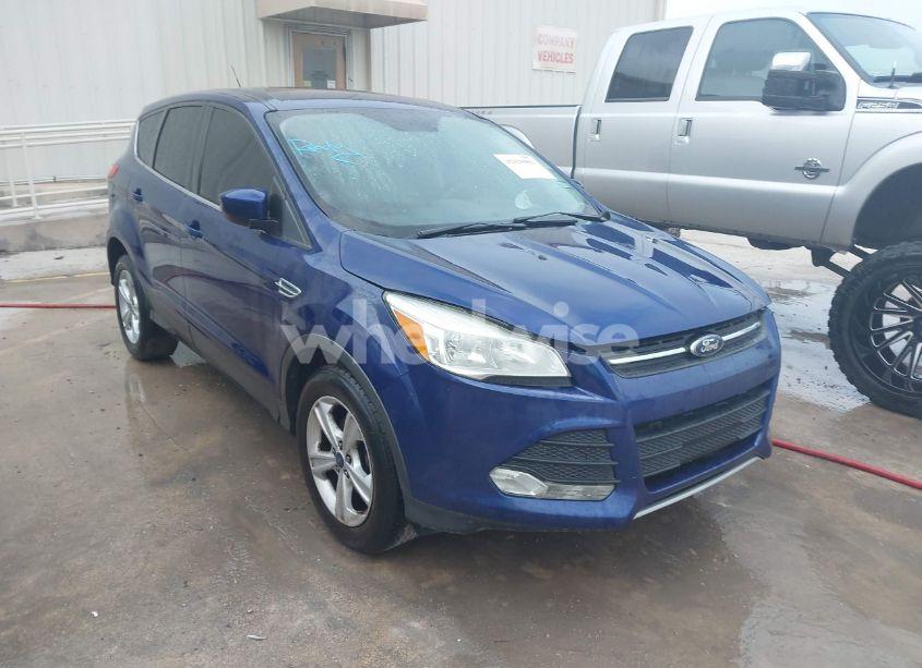 2014 Ford Escape SE (VIN 1FMCU0GX0EUB82041) main photo