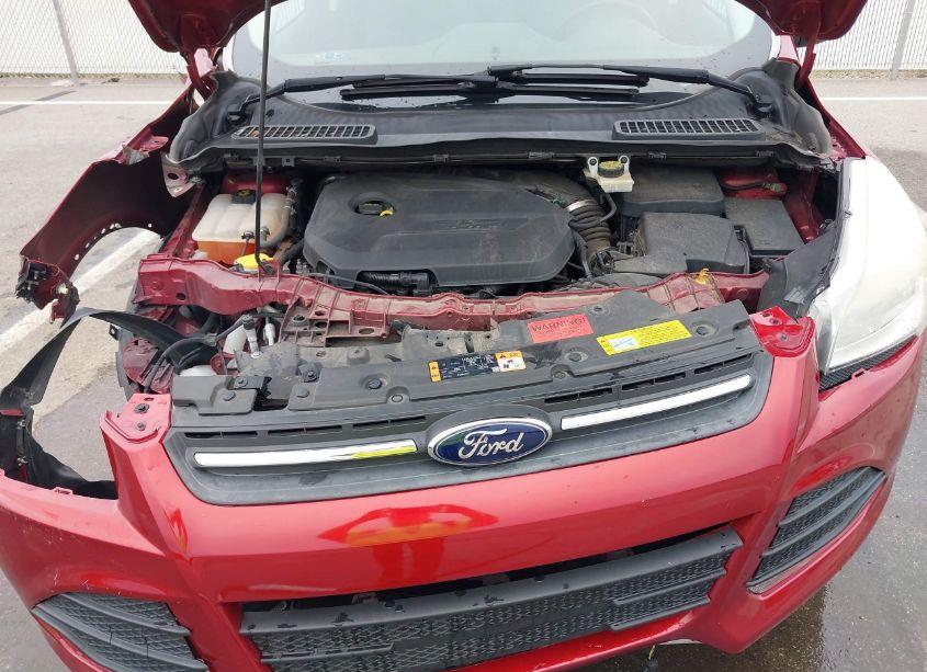 Photo 10 of 2014 Ford Escape SE (VIN 1FMCU0GX0EUC68028)